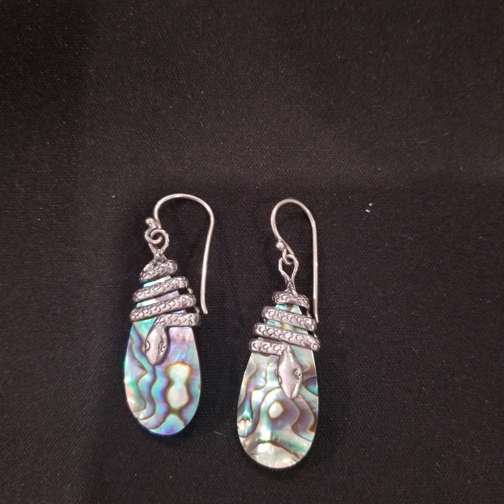 Abalone Shell Earrings - image 1